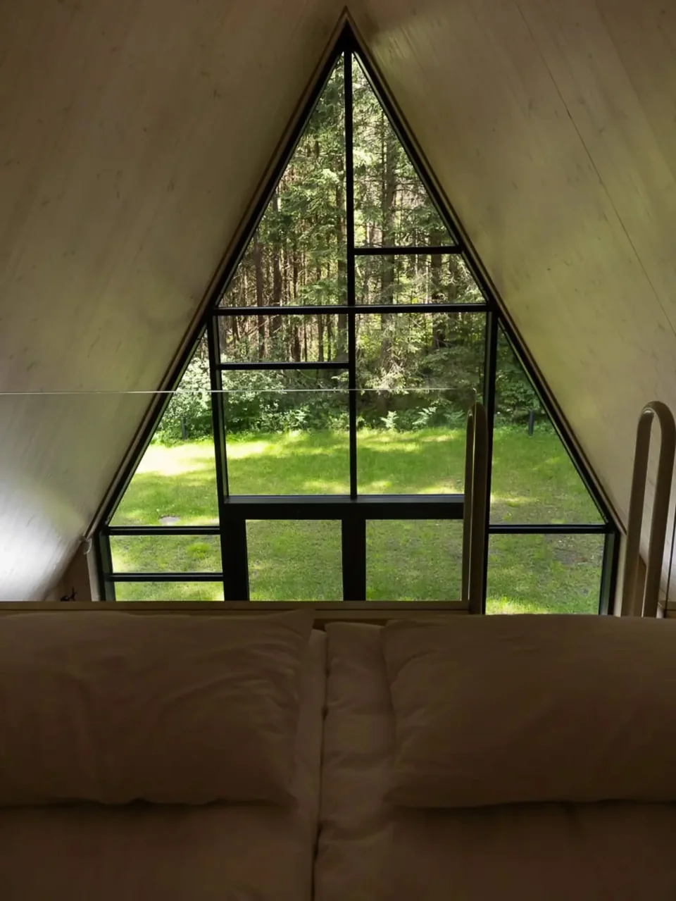 Vaizdas iš Sanctum Nature namelio lovos pro aukštą langą į mišką